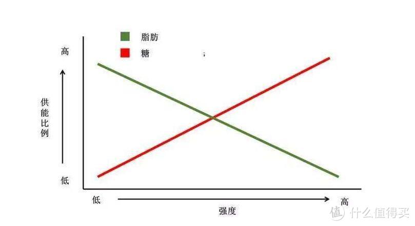 哪个时间锻炼好，减脂吃不吃蛋白粉，健身餐一天排几顿——3个健身疑问