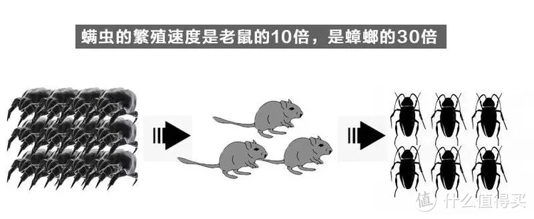 只需躺着！神奇螨虫贴，让你亲眼见证身边800W螨虫被消灭