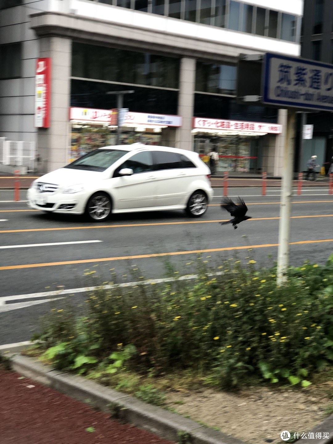 没有游客的日本“景德镇”