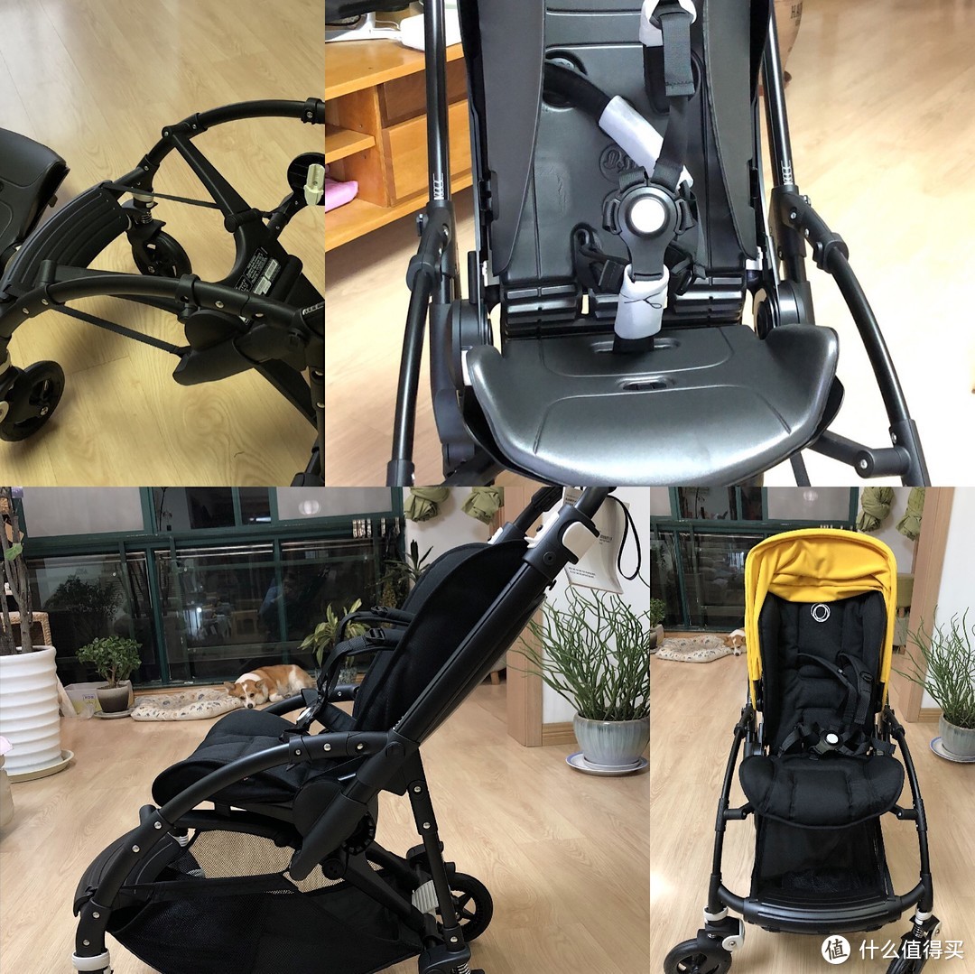 Cybex Cloud Q &Bugaboo Bee 5 轻晒