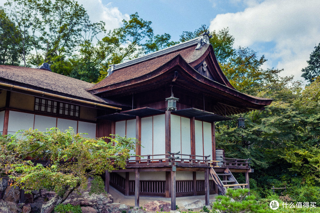 故地重游，漫步嵯峨野