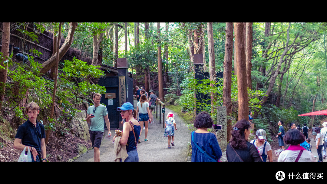 故地重游，漫步嵯峨野