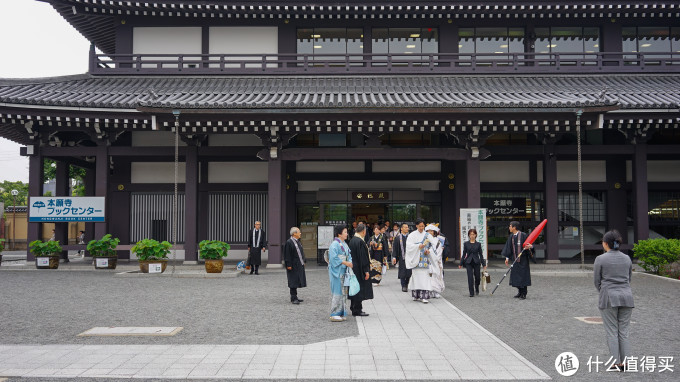 关西打卡—京都|奈良|大阪