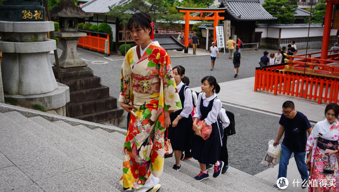 关西打卡—京都|奈良|大阪