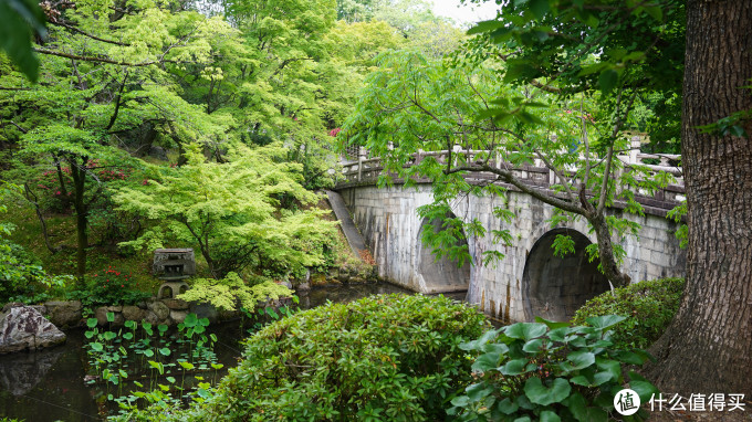 关西打卡—京都|奈良|大阪