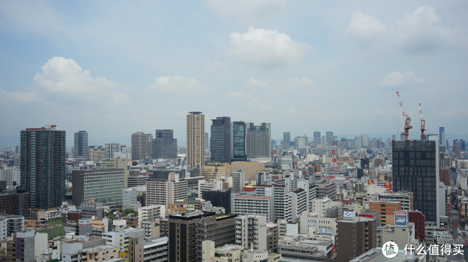 关西打卡—京都|奈良|大阪