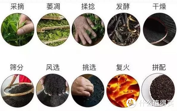 祁门红茶，初夏里的暗香浮动