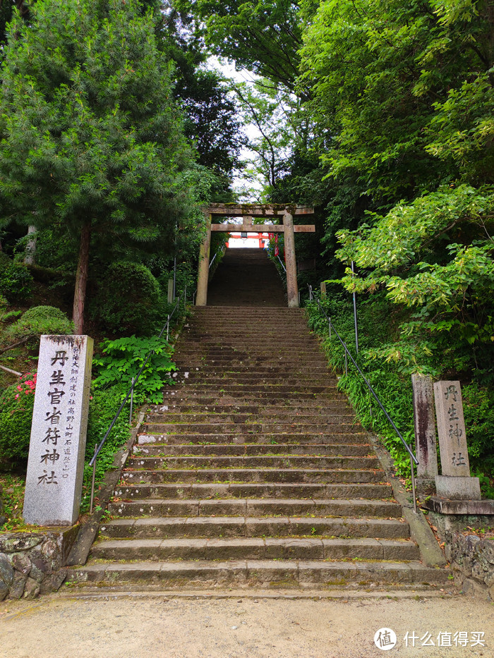 重走空海大师往返高野山之路——高野山町石道完走记录