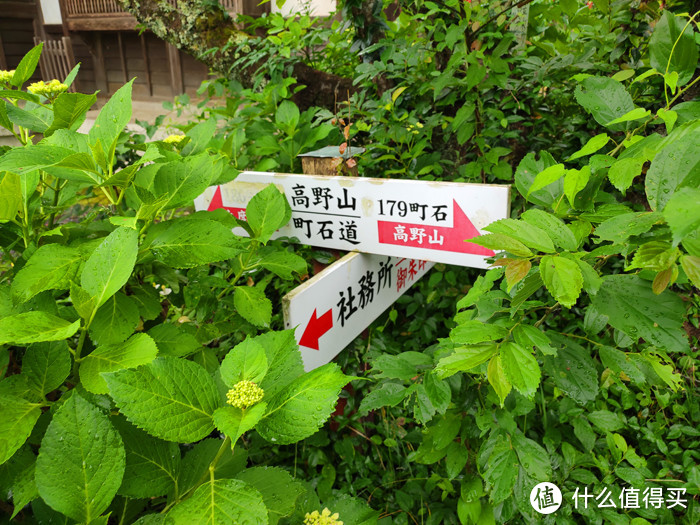 重走空海大师往返高野山之路——高野山町石道完走记录