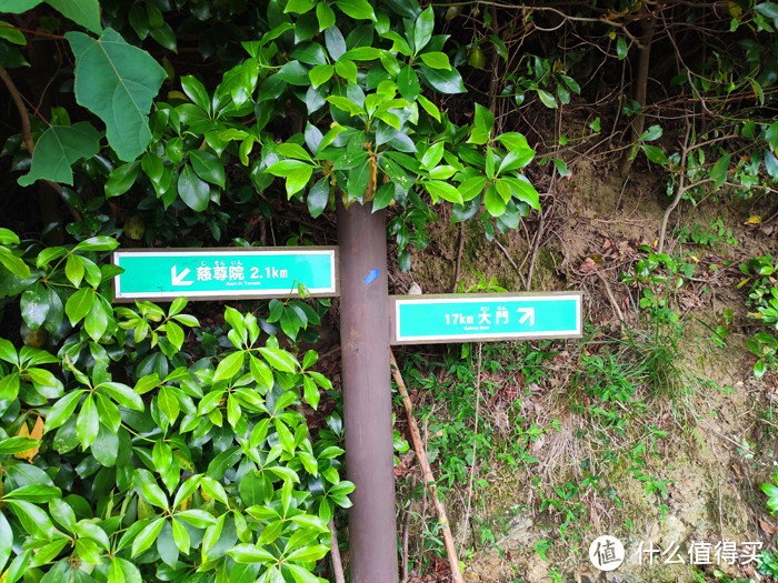 重走空海大师往返高野山之路——高野山町石道完走记录