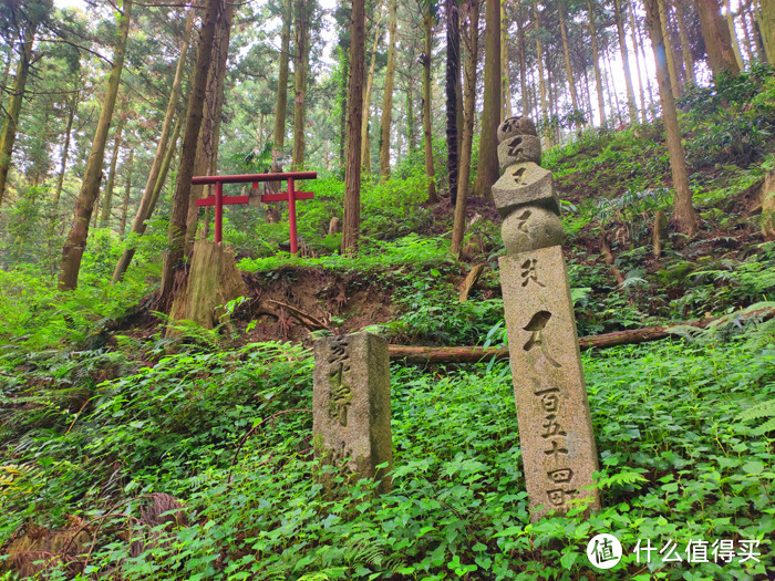 重走空海大师往返高野山之路——高野山町石道完走记录