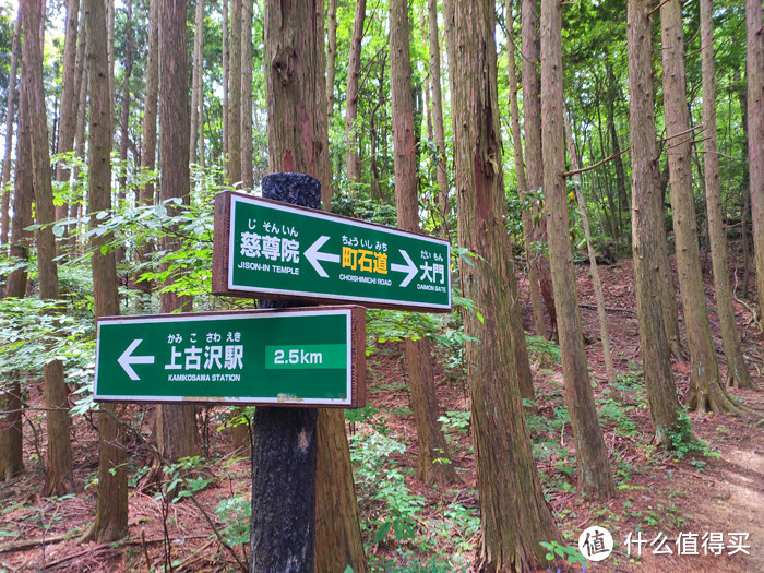 重走空海大师往返高野山之路——高野山町石道完走记录