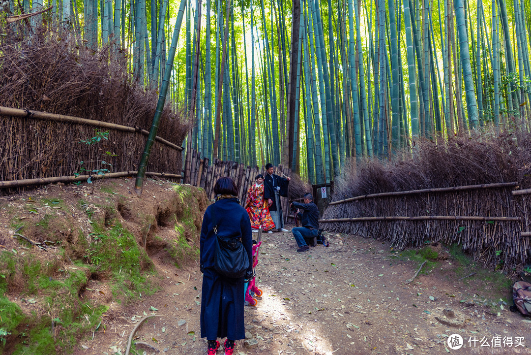 故地重游，漫步嵯峨野