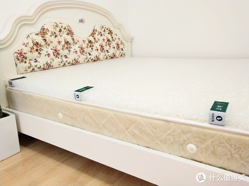 空气床中床，菠萝斑马空气床垫深体验