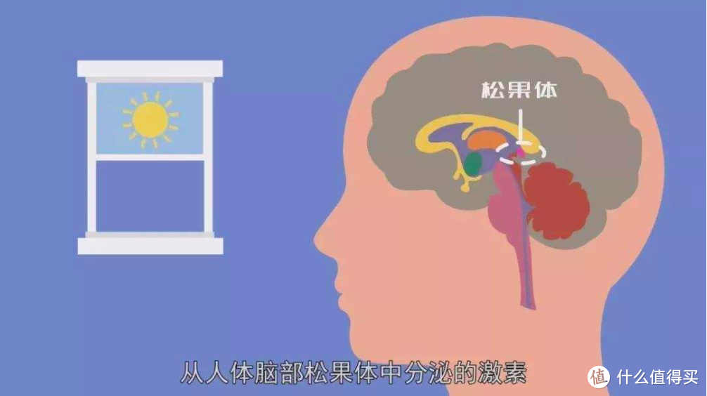 BBC的睡眠研究实验：10条简单易行小建议，让你有个好睡眠