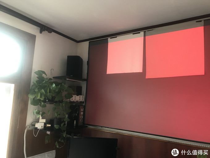 绝对的白天，不参假，左侧就是窗户，光纤充足