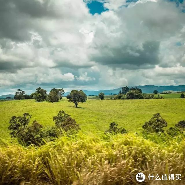 盛夏去凉爽的凯恩斯，潜水近观珊瑚礁群，探寻最古老的热带雨林