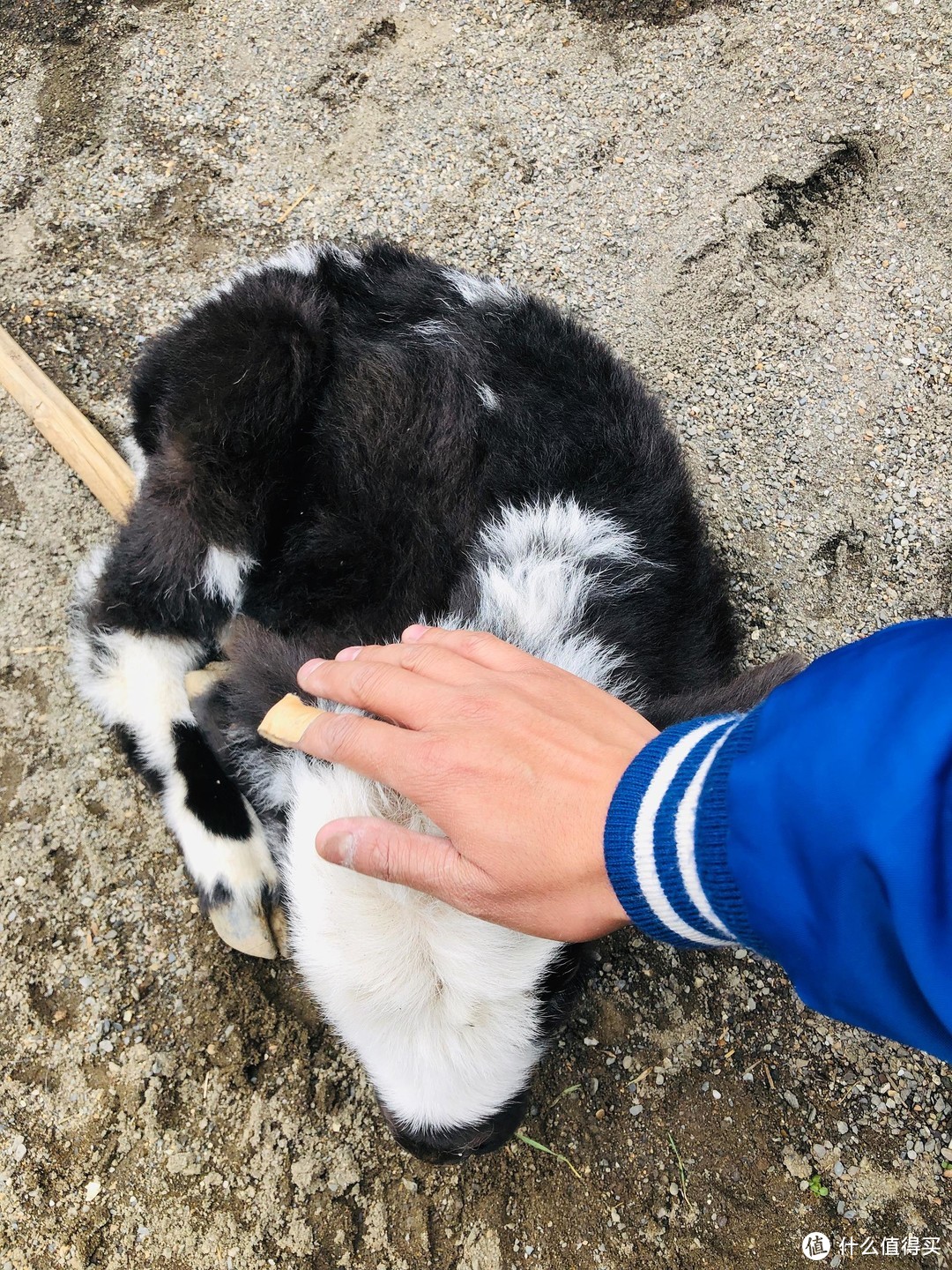 拍耍游记|里索海探秘：走最烂的路，看最美的景下