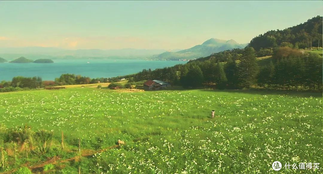 独家| 北海道视野超赞的咖啡馆