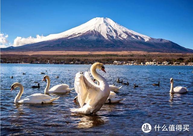 富士山攻略｜谁能凭爱意要富士山私有