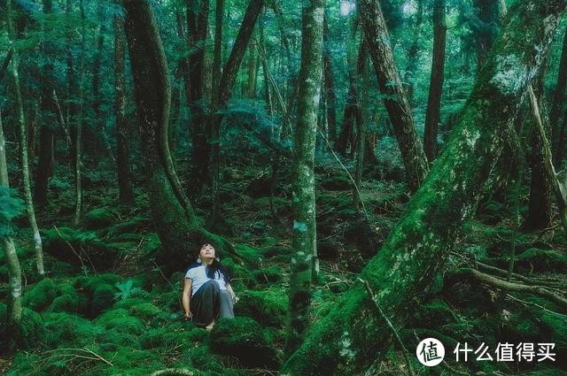 富士山攻略｜谁能凭爱意要富士山私有