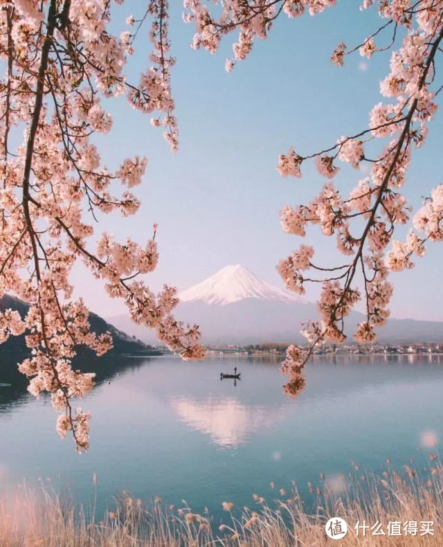 从东京的人潮到富士山的隐逸，盛夏日本旅行，这是最浪漫的打开方式