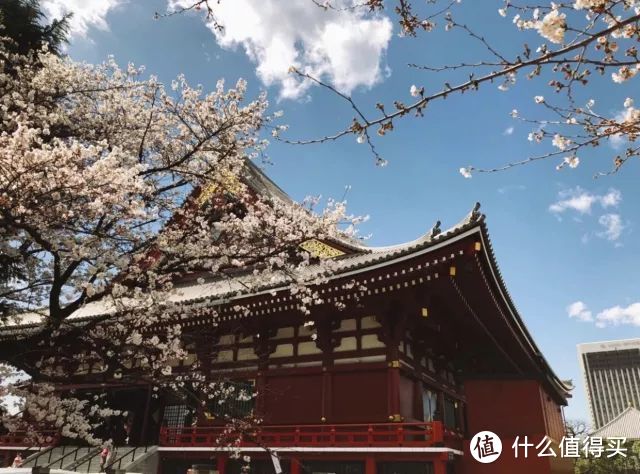 从东京的人潮到富士山的隐逸，盛夏日本旅行，这是最浪漫的打开方式