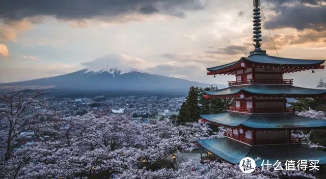 从东京的人潮到富士山的隐逸，盛夏日本旅行，这是最浪漫的打开方式