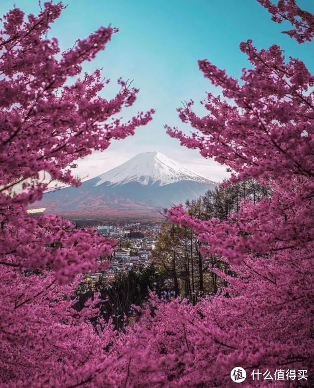 从东京的人潮到富士山的隐逸，盛夏日本旅行，这是最浪漫的打开方式