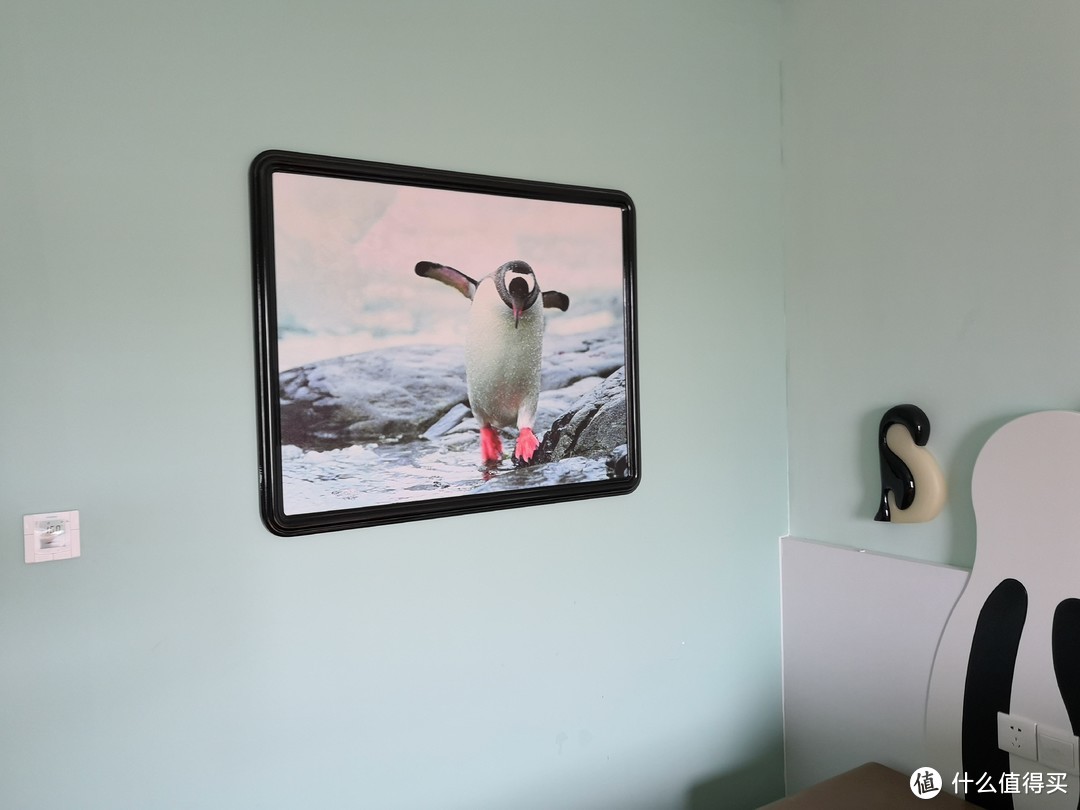 墙上的企鹅照片。