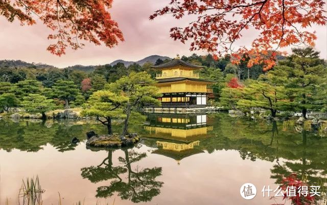 京都祇园祭，大阪花火大会，奈良喂小鹿，夏日的关西可以这样玩