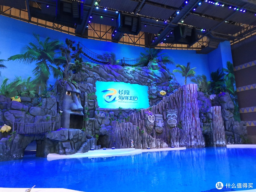 海豚表演现场，不像在冲绳看的是露天的，长隆是在室内的，场馆也很大。