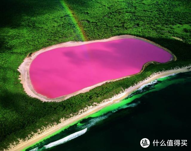 少女心的澳洲粉红湖，已经消失一个了，再不去就晚了！