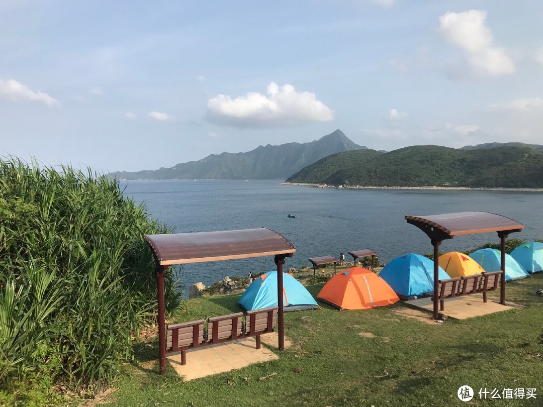 面朝大海 饮牛露营 这是我们向往的生活