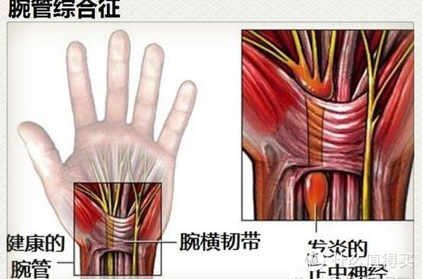 工作快节奏，健康不能丢，18件办公室健康好物推荐！