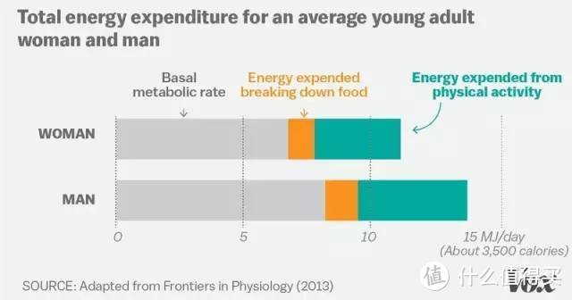 青年女性与男性每日平均能量支出构成。