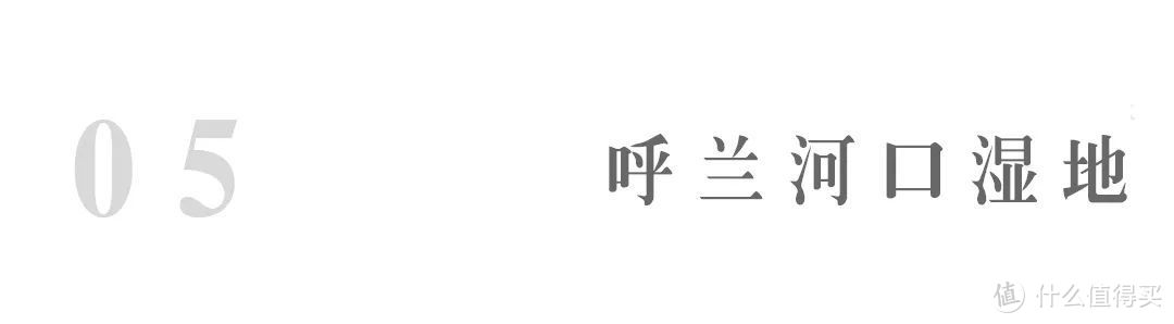 浪漫的异国风情，被低估的美食城，盛夏的哈尔滨，比你想象中更好玩