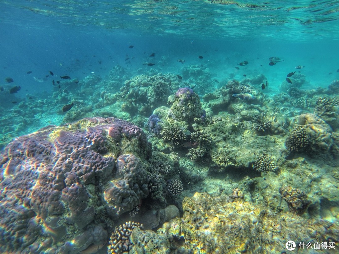 迟来的二次蜜月，马尔代夫魔富士泡岛发呆记（硬核游记，海量相片）