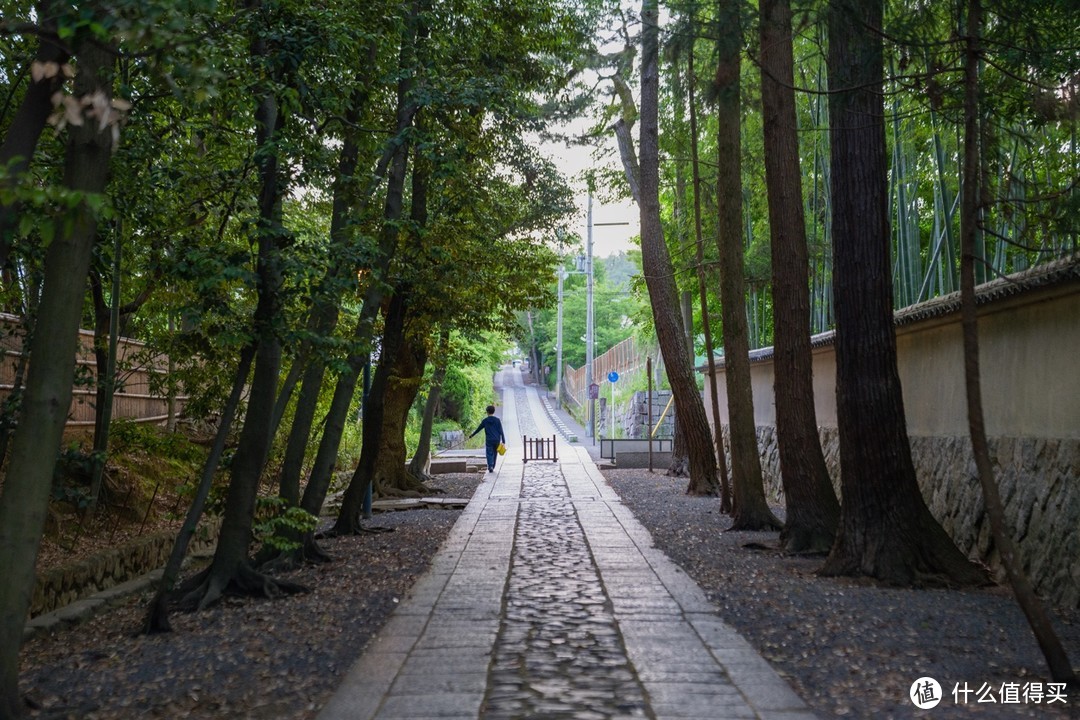 慢京都与奈良鹿，旅行，有时候一定要慢下来才更有趣