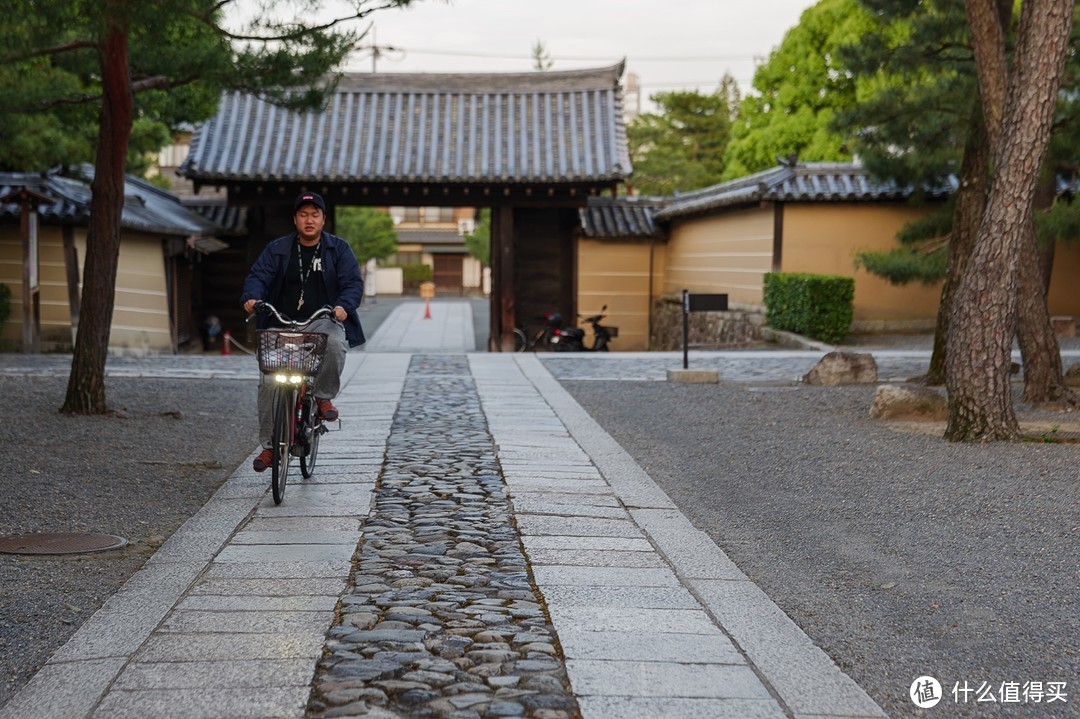 慢京都与奈良鹿，旅行，有时候一定要慢下来才更有趣