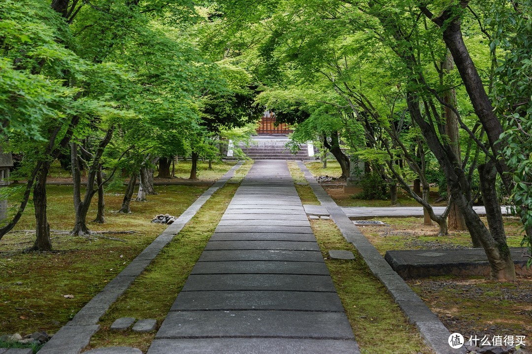 慢京都与奈良鹿，旅行，有时候一定要慢下来才更有趣