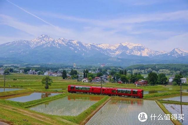 现在流行去日本的乡下，艺术祭、音乐节、花火大会通通满点