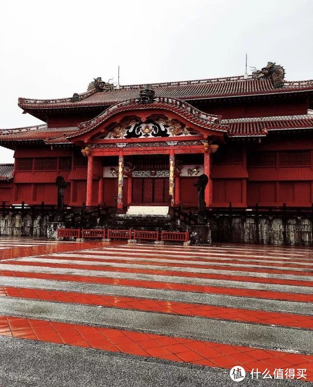 冲绳|最适合亲子游的海岛，这个夏天来这里看鲨鱼，享美食