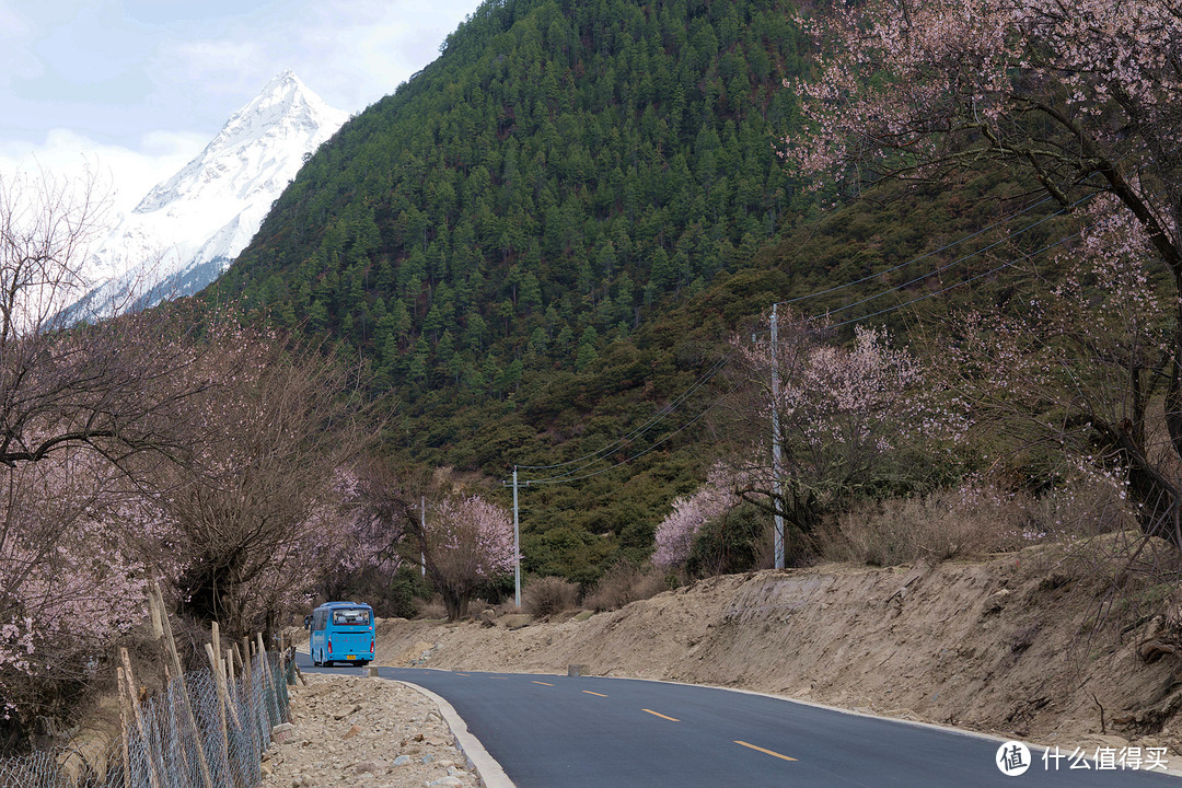 完美旅行——西藏2019 林芝 拉萨 珠峰大本营