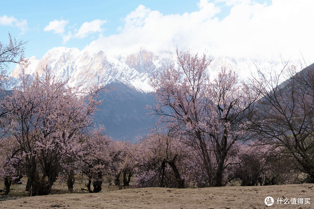 完美旅行——西藏2019 林芝 拉萨 珠峰大本营