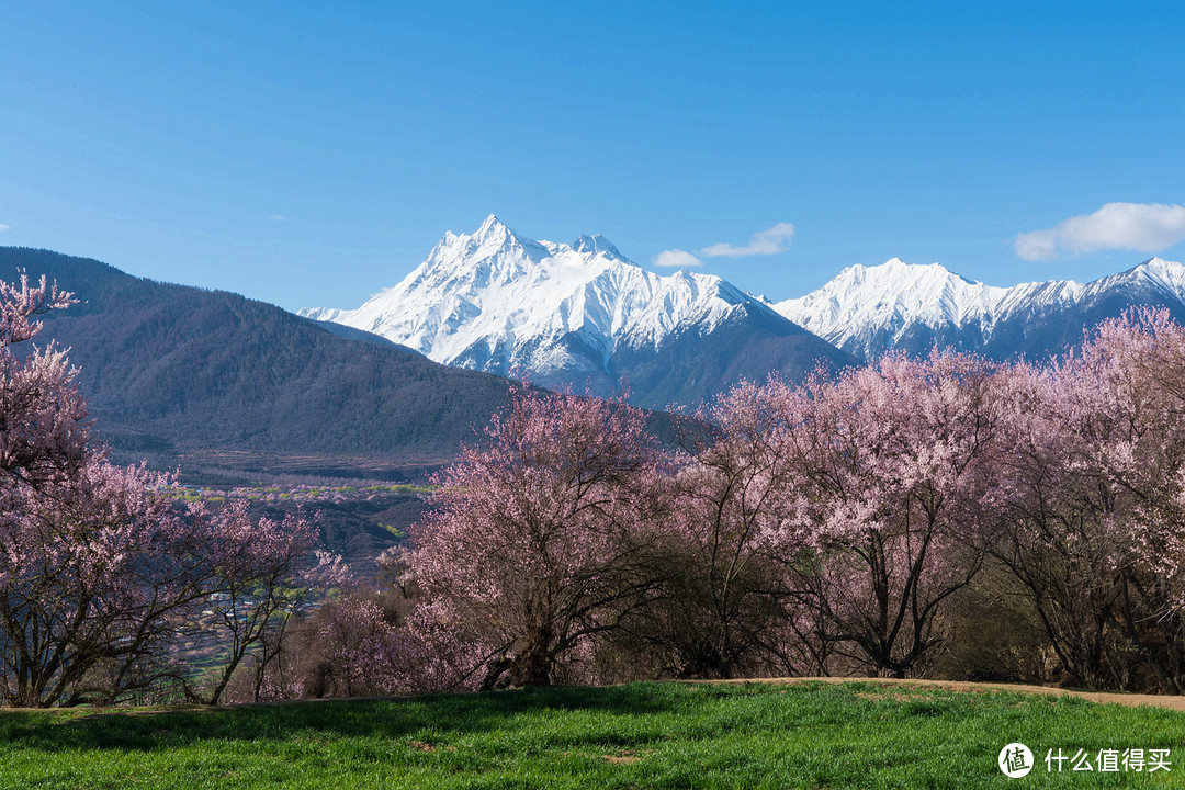 完美旅行——西藏2019 林芝 拉萨 珠峰大本营