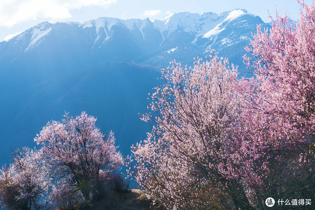 完美旅行——西藏2019 林芝 拉萨 珠峰大本营