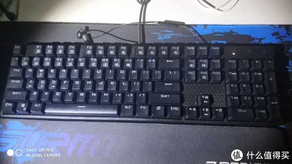 主体