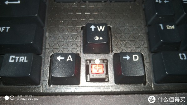 轴体