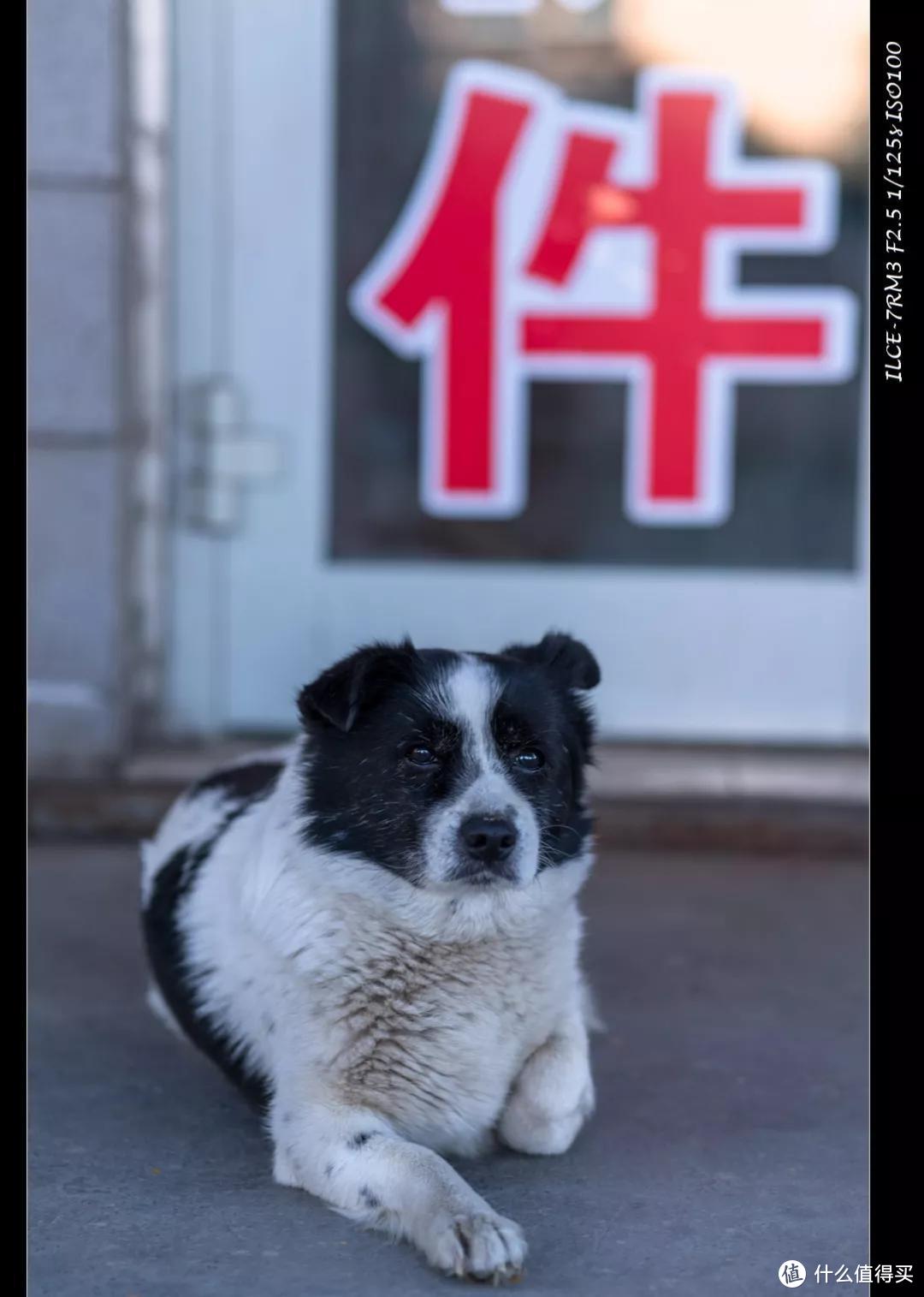 单评 | 唯卓FE口自动对焦版85mm F1.8